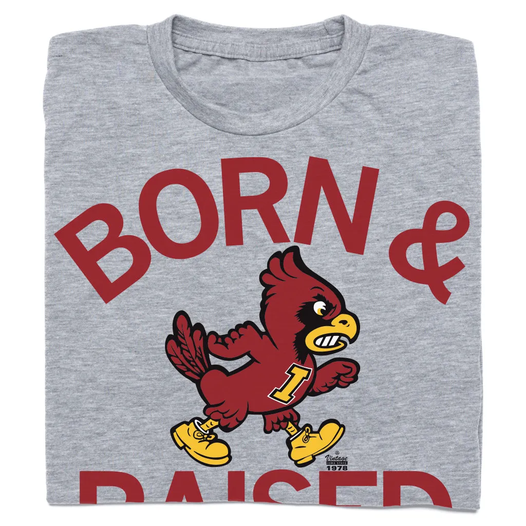 Cyclones Born & Raised Vintage Grey