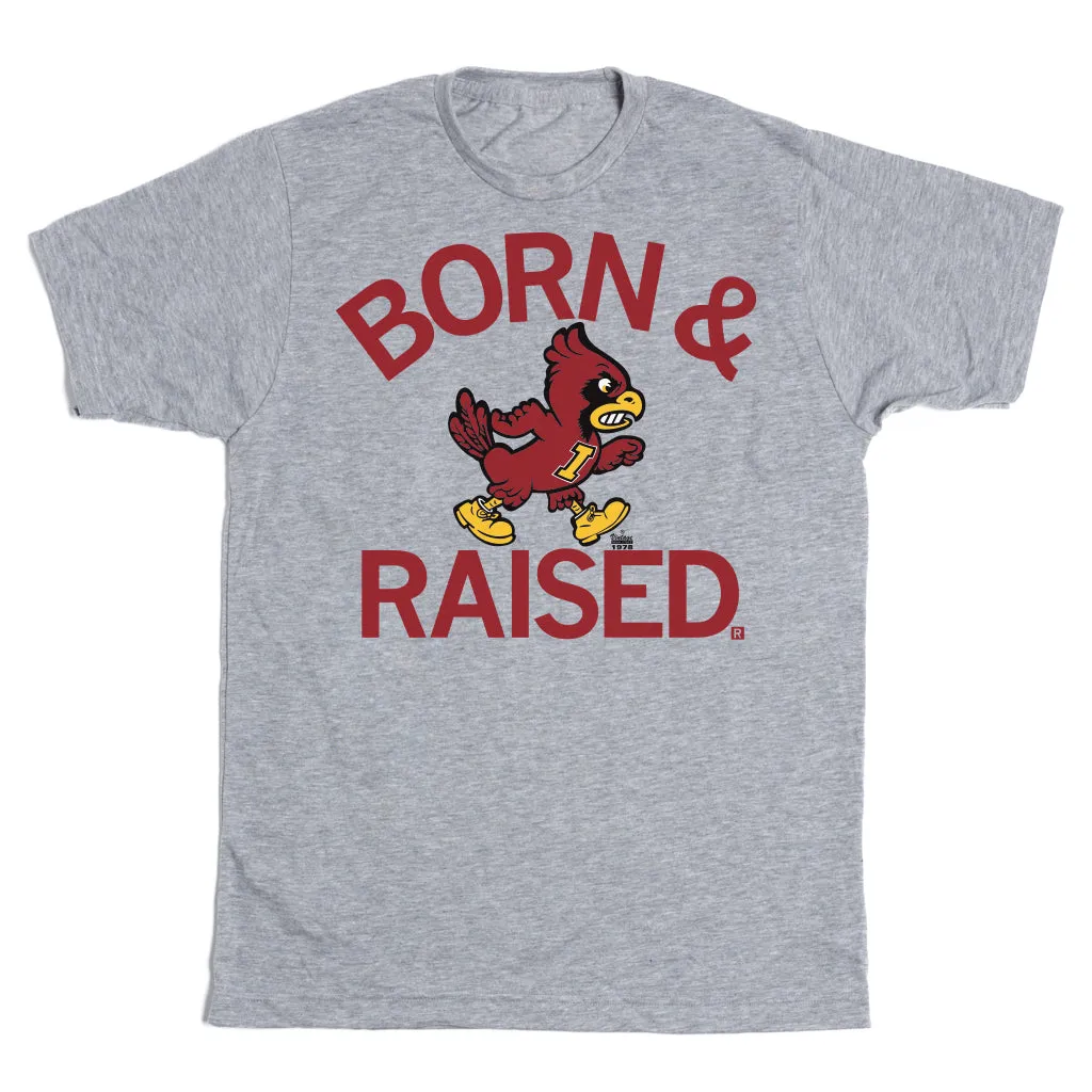 Cyclones Born & Raised Vintage Grey